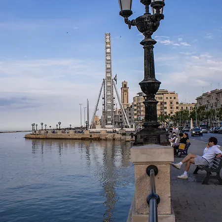 Domus Carulli 23 Penzion